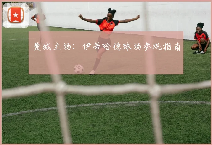 曼城主场：伊蒂哈德球场参观指南